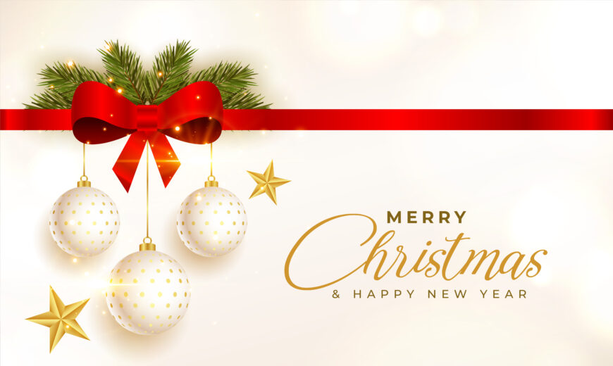 Friendina College wishes you a very merry Christmas and a very happy new year!